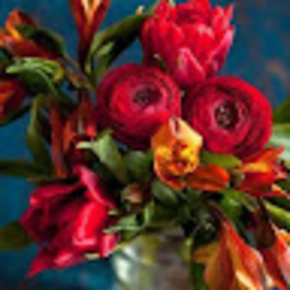 Meet your Posher, Rachel - Picture 1 of 1